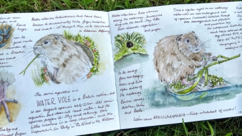 Nature journaling with Jules Wooldford