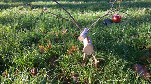 reindeer
