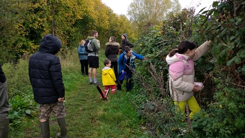 foraging