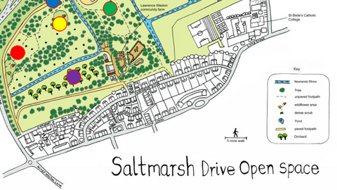 Saltmarsh Drive