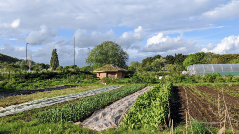 Picture of the Grow Wilder Site 