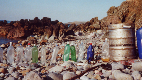 plastic bottles lined up on a beach