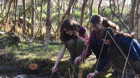three girls crouching down to the pond