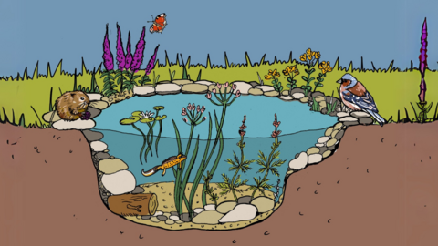 Team Wilder ponds workshop email banner plain higher res