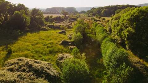 Wild farmland