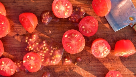 seedsaving