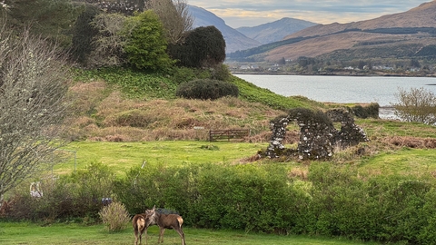 Island of Mull