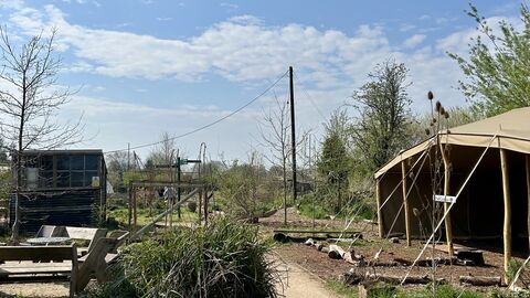 Looking down a path at Grow Wilder, where you can see the canvas on the right-hand side