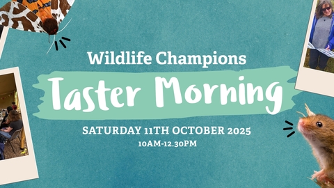 Wildlife Taster Morning Saturday 11th October 10am-12.30pm. Photos of Champions and wildlife