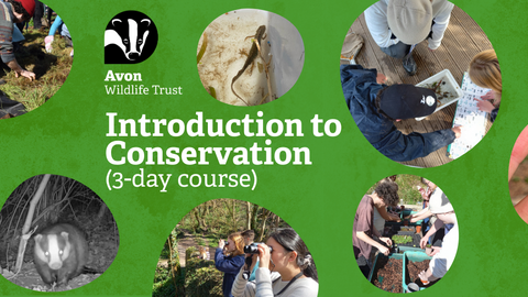 Images of young people doing nature activities such as pond dipping and moth trapping on a green background. Text reads 'Introduction to Conservation (3-day course)'