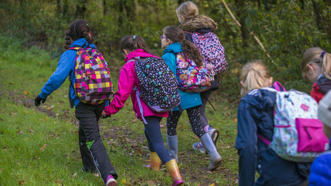 A group of children walking in the woods up a hill with grass under their feet.