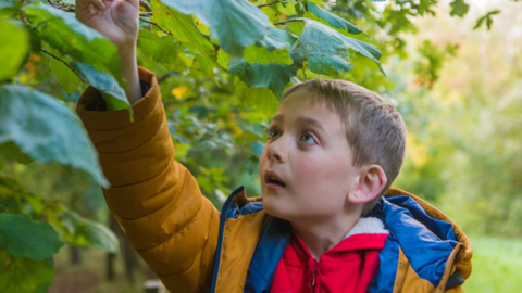 A boy looking up at a leaf on a tree, he has a yellow coat and red hoody underneath. The background is green on a bright day.
