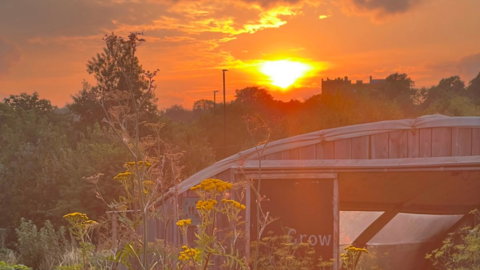 Sunset at Grow Wilder, building shown with greenery around in orange sunset hazy light