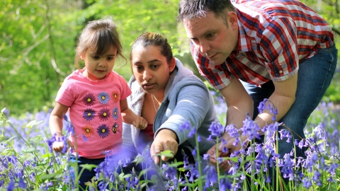 A family day out