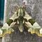 Lime hawk-moth, Lawrence Weston, (c) Alex Dommett