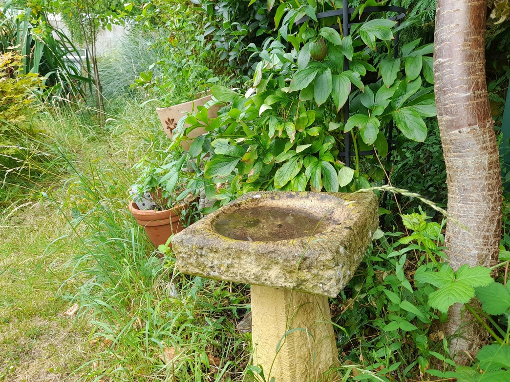 Wildlife Gardening Team Wilder Avon Wildlife Trust