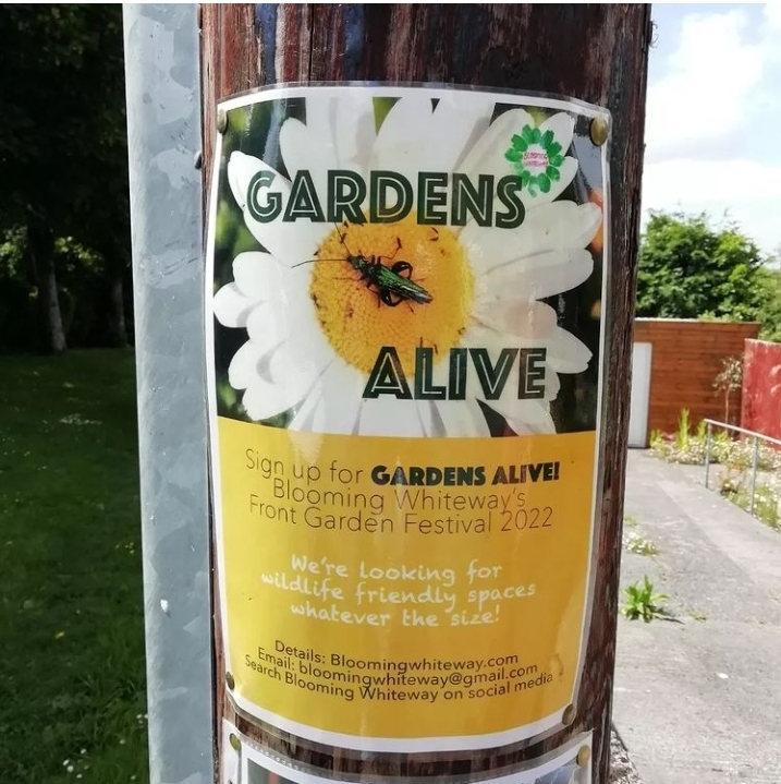 Case Study Blooming Whiteway Front Garden Awards Avon Wildlife Trust