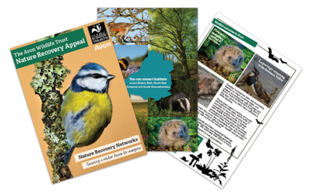 Nature Recovery Appeal leaflet image