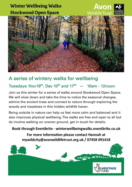 Poster for Wintery Walks at Stockwood Open Space