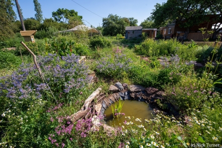 Feed Bristol site in summer