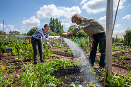 Growing at Feed Bristol