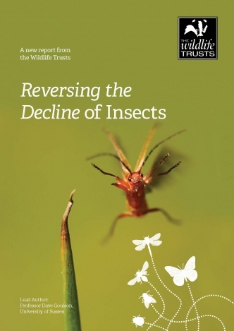 Reversing Insect Decline report cover July 2020