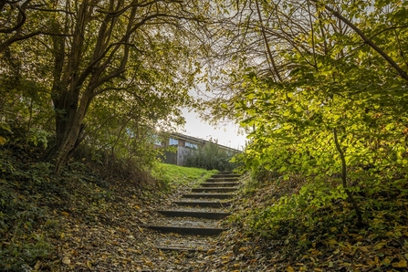 My Wild City - Coombe Brook Valley