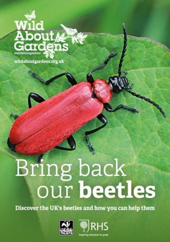 Wild about Gardens Beetles Booklet