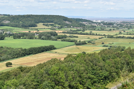 Gordano Valley view