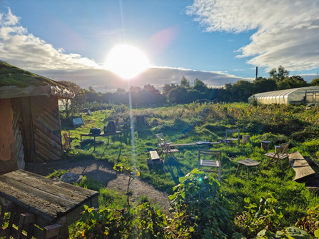 Grow Wilder in autumn (c) George Cook