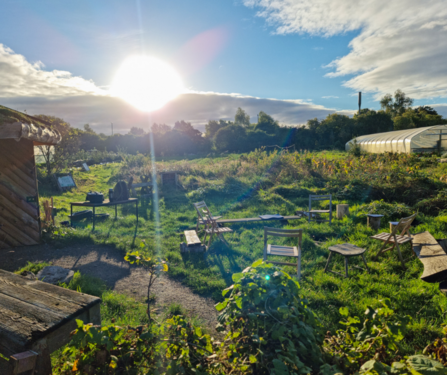 Grow wilder view (c) George Cook