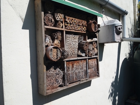 A bee hotel