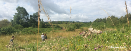 Hawkfield Meadow