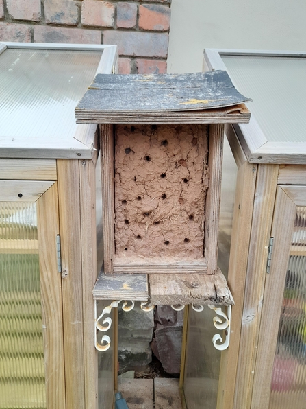 Bee hotel clay Tom Wilmott