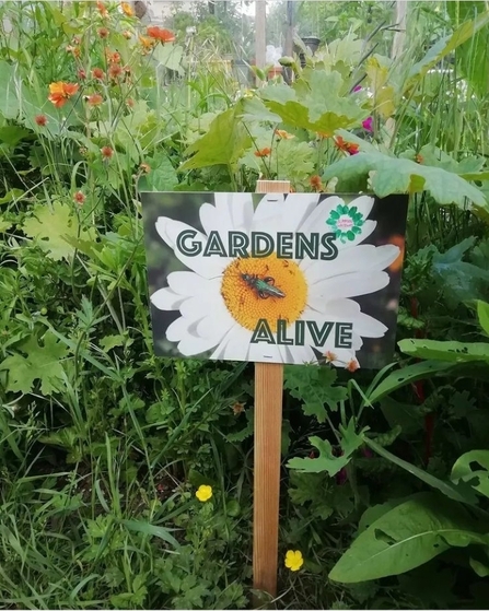 Blooming_Whiteway_06.22_IG_Gardens_Alive_sign
