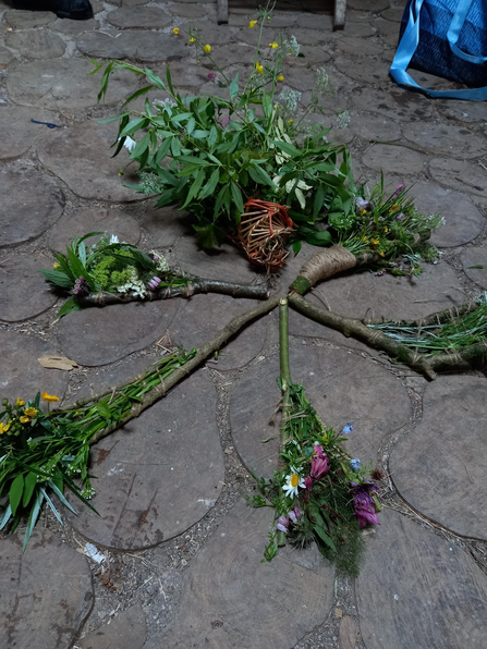 An image of a natural loom, which encourages people to notice the beauty and patterns in nature