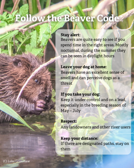 The Beaver Code: Stay alert, Leave your dog at home, If you take your dog keep them on a lead, respect any landowners and other river users, Keep your distance