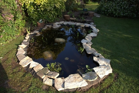 Wildlife_Garden_BS9_Stephanie_Chadwick_pond_Creation_6