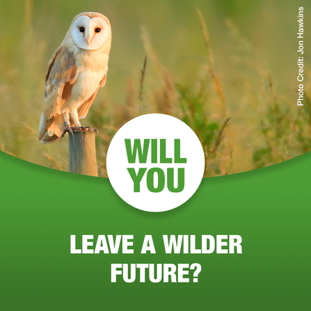 Will you leave a wilder future?