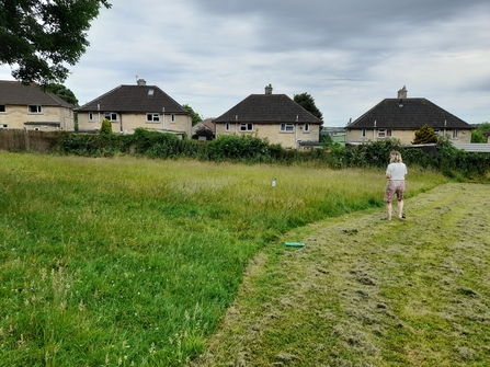 Blooming_Whiteway_06.22_park_meadow_1_edge