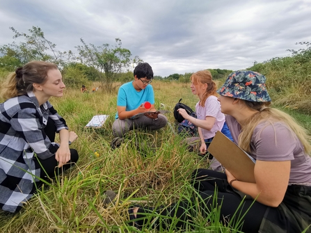 A group of young people sat in a field, looking at bugs