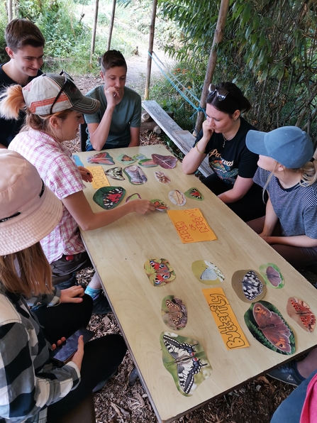 A group of young people sat around a table, outside, playing a game to identify moths
