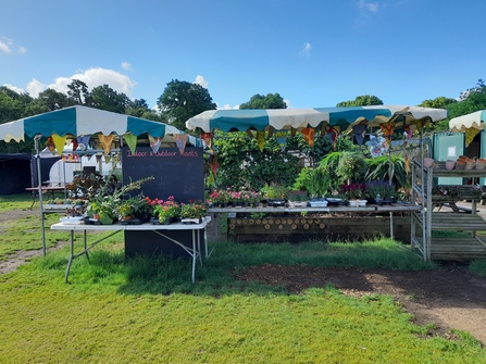 Redcatch Community Garden plant stands