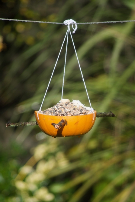 A bird feeder made out of a hollowed out pumpkin, filled with bird feed and hanging on some string in a gardem