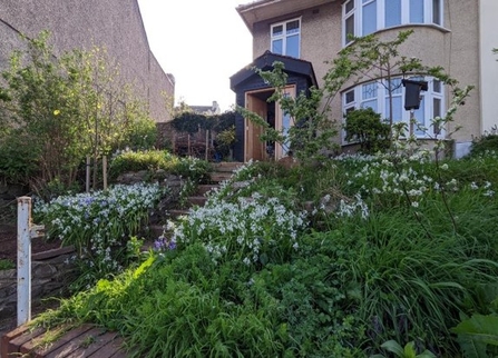 Tom_Wilmott_wild_garden_revival_front_garden