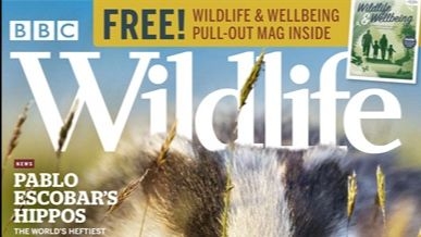 BBC Wildlife Magazine