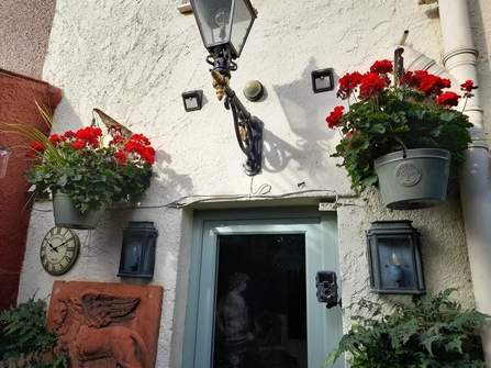 Grenville_Johnson_BS5_St_George_in_Bloom_Back_Garden_41_Hanging_Baskets