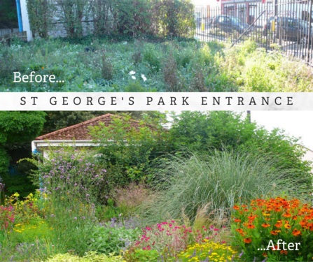 St George in Bloom Park before and after