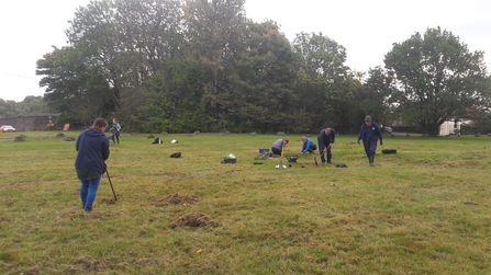 Wildflower Meadow Whiteshill Common Project 1