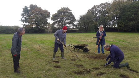 Wildflower Meadow Whiteshill Common Project 3